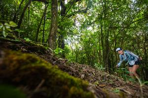 BIB: 106
                            <button type="button" onclick="openModal(16008352)" class="btn btn-primary btn-sm float-right btn-popup" data-toggle="modal" data-target=".modal-high-quality">
                        <i class="fas fa-shopping-cart"></i> Add to Cart
                    </button>
                                            <button type="button" onclick="isThisMe(16008352, true)" class="btn btn-success btn-sm float-right btn-popup btn-isme hidden" data-toggle="tooltip" data-placement="bottom" title="นี่คือรูปของคุณใช่ไหม คลิกที่นี่เพื่อเอาเข้าอัลบั้ม">
                        <i class="fas fa-plus"></i> Add to album
                    </button>
                    <button type="button" onclick="isThisMe(16008352, false)" class="btn btn-warning btn-sm float-right btn-popup btn-isnotme hidden">
                        <i class="fas fa-ban"></i> Remove from album
                    </button>